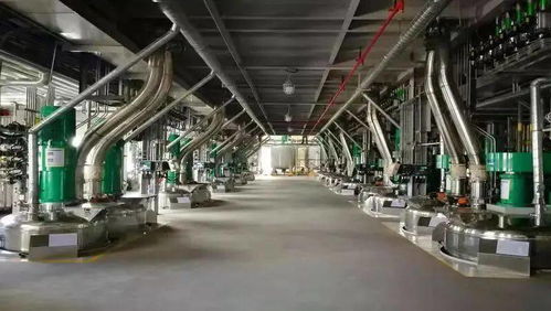 展辰新材榮登2020廣東省智能制造試點示范項目榜單，引領廣東網絡技術服務新篇章